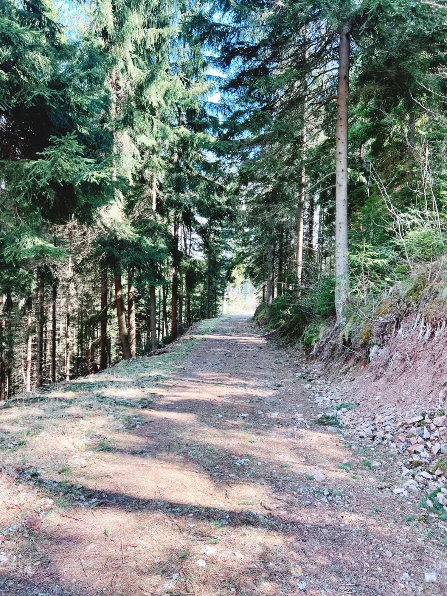 Willa Widokowka Lubawka Exteriér fotografie